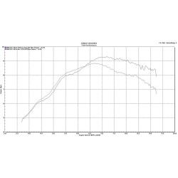 Ligne complète Tyga-Peformance silencieux court inox embout carbone, Honda 125 Monkey