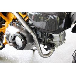 Ligne complète Tyga-Peformance haute silencieux Inox embout carbone, Honda 125 Monkey