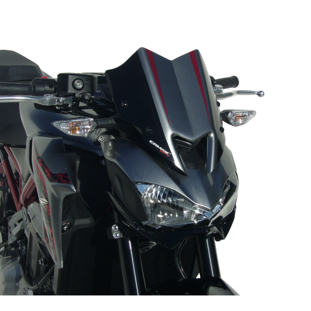 Tête de fourche Ermax pour Kawasaki Z 900 2017-2019