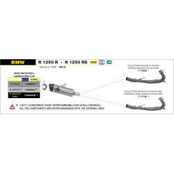 Silencieux Arrow Maxi Race-Tech Titane embout carbone, BMW R 1250 R / RS 2019-20