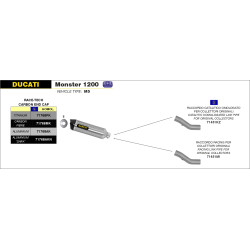 Silencieux Arrow Race Tech titane embout carbone, Ducati monster 821 1200/1200 S 2014-16