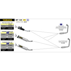 Silencieux Arrow Pro-Race Nichrom Yamaha MT-125 YZF-R 2019-22