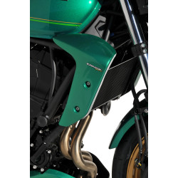 Ecopes Ermax Kawasaki Z 650 RS 2022-23