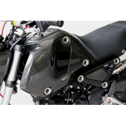 Ecopes de réservoir carbone, Honda 125 MSX 2021-