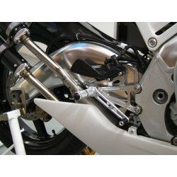 Echappements inox style GP, Aprilia RS250