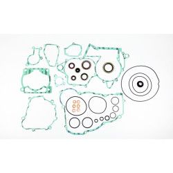 Complete Gasket Kit (oil seals included)