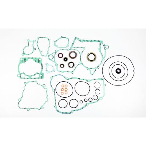 Complete Gasket Kit (oil seals included)