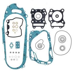 Complete Gasket Kit (oil seals not included)