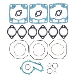 Complete Gasket Kit (oil seals not included)