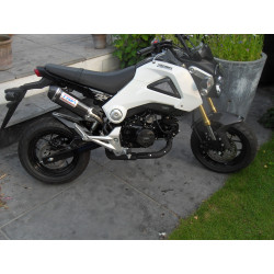 Echappement complet Tyga-Performance silencieux full carbone, Honda 125 MSX 13-16