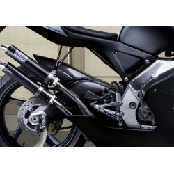 Protection bras oscillant Carbone (paire), Aprilia RS250 98-05