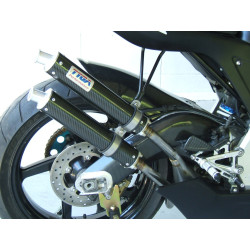 Protection bras oscillant Carbone (paire), Aprilia RS250 98-05