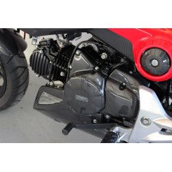 Carter d'allumage carbone, Honda 125 MSX GROM