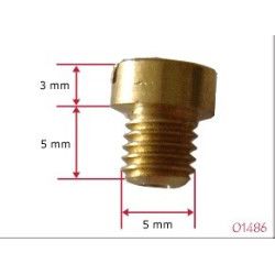 Gicleur de ralenti M5 carburateur Dellorto