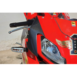 Carénage latéraux Carbone, Aprilia RS 125 2007-12