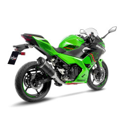 SBK FACTORY S ligne KAWA Ninja/Z 400 carbone