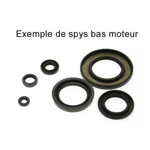 Pochette de joints spi moteur CENTAURO