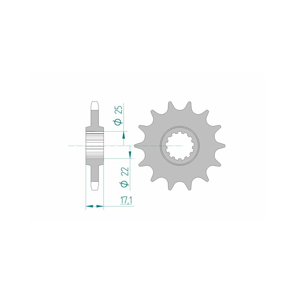 Pignon AFAM acier standard 20405 - 525