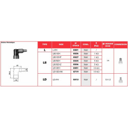 Anti-parasite NGK - LB10EHAK