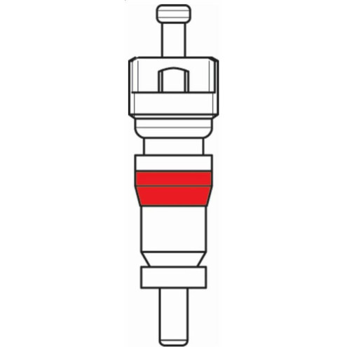 Obus de valve BIHR Bihr 1 - AVSmoto Racing Parts 