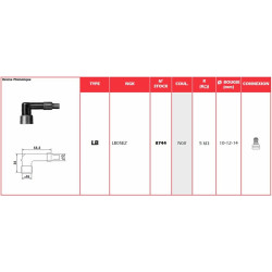 Anti-parasite NGK - LB05EZ