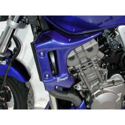 Ecopes Ermax Honda CB 900 Hornet 2002/2007