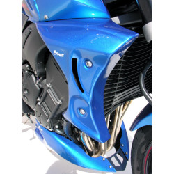 Ecopes Ermax Yamaha FZ 1 2006/2015