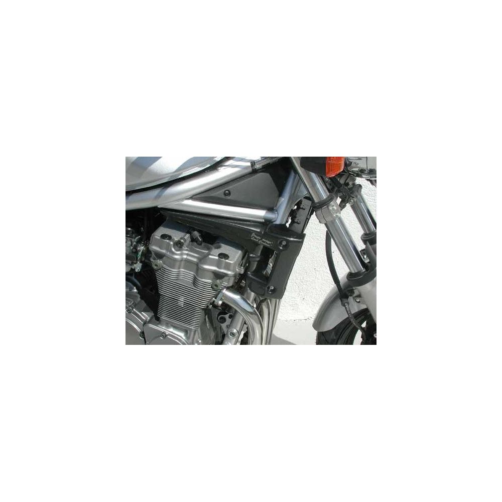 Ecopes Ermax Suzuki GSF 600 Bandit N 2000/2004