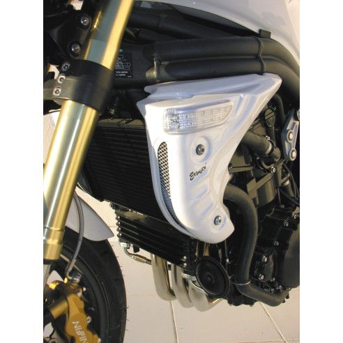 Ecopes Ermax Triumph Speed Triple 1050 05/07