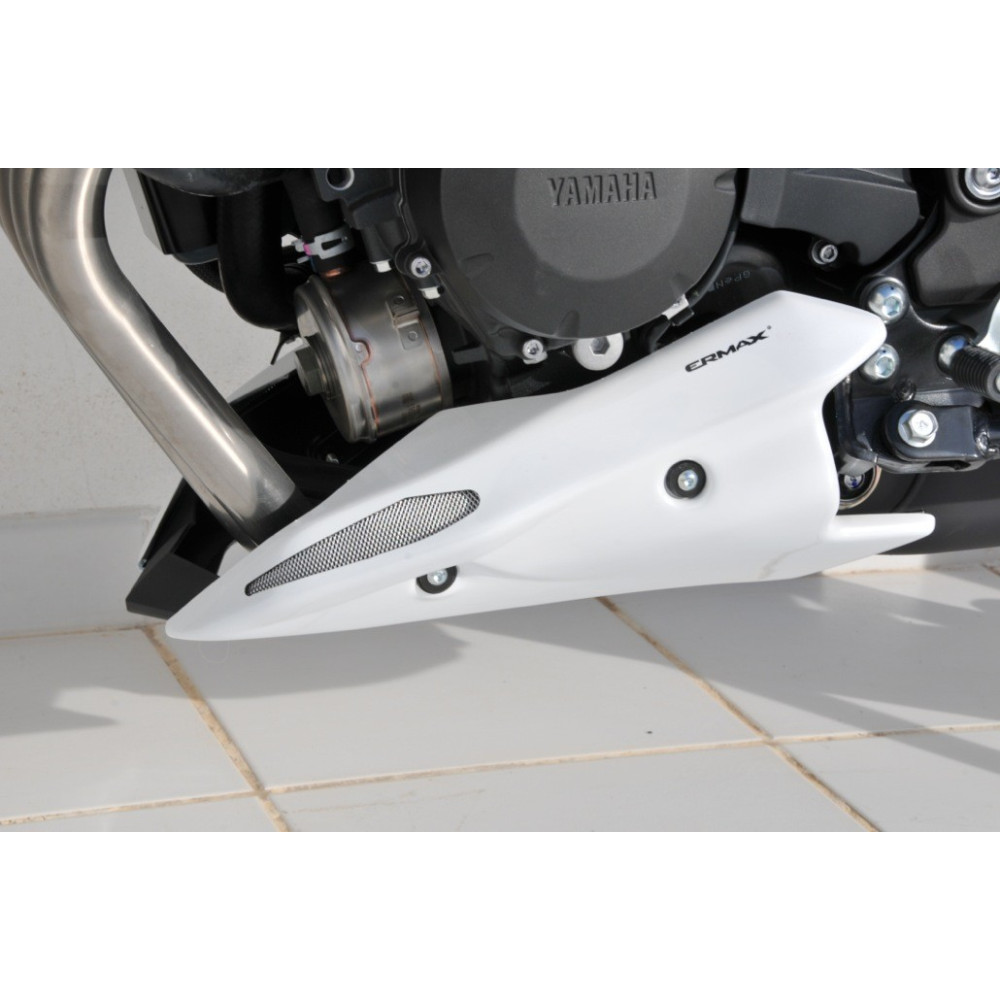 Sabot moteur Ermax Yamaha XJ 6 N 2013/2014