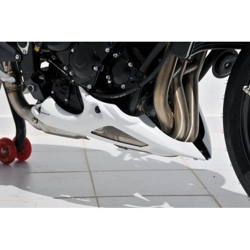 Sabot moteur Ermax Triumph Street Triple 675 2012