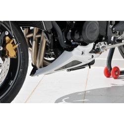 Sabot moteur Ermax Triumph Street Triple 675 R 2012