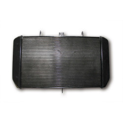 Radiateur BIHR - Kawasaki Z750 Bihr 2 - AVSmoto Racing Parts 