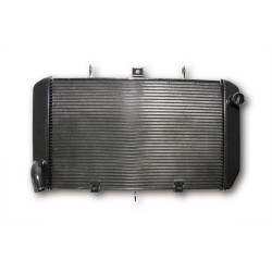 Radiateur BIHR - Kawasaki Z750 Bihr 3 - AVSmoto Racing Parts 