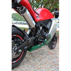 Garde boue arrière carbone TYGA, Honda 125 MSX GROM