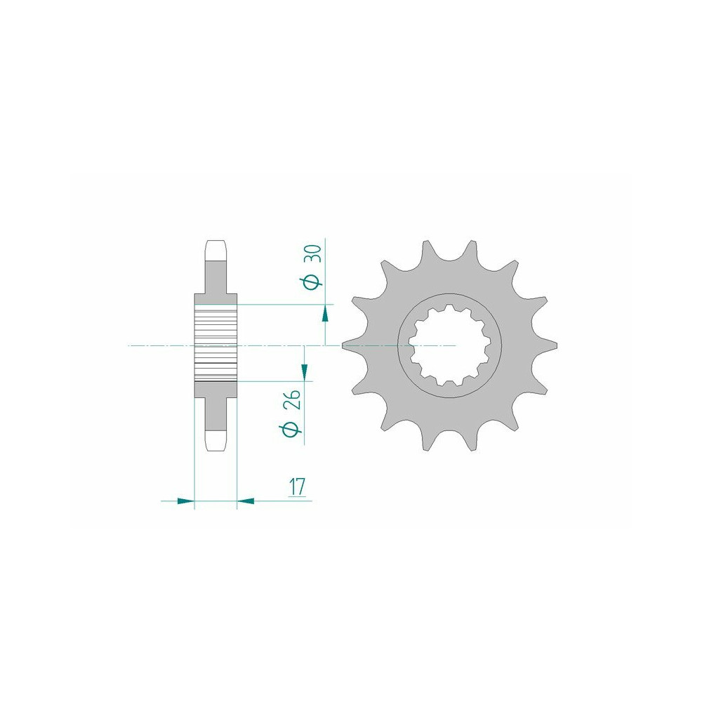 Pignon AFAM acier standard 20603 - 530 - 17 dents