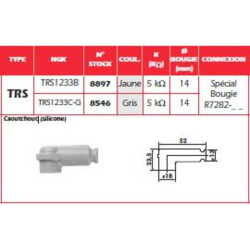 Anti-parasite NGK Jaune - TRS1233B