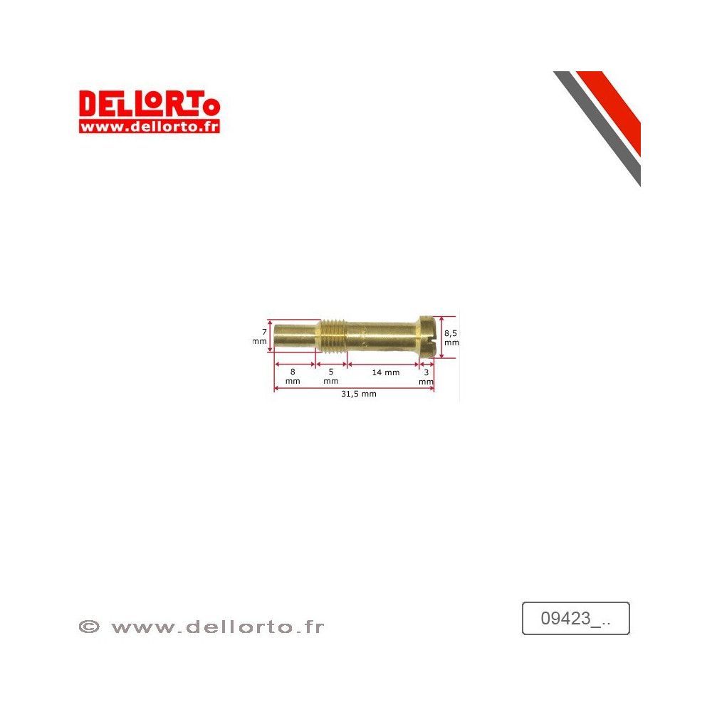 Puit d'aiguille diffuseur BN266 Dellorto