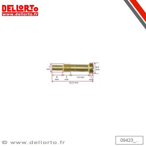 Puit d'aiguille diffuseur BN266 Dellorto