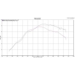 Ligne complète Tyga-Performance position basse silencieux inox embout carbone court, Honda 125 MSX