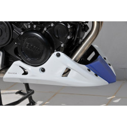 Sabot moteur EVO Ermax BMW F 800 R 2015/2019